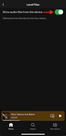 show audio files from this device | Add Songs to Spotify Playlists