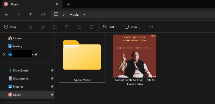 select Music | Where Does Amazon Music Download to