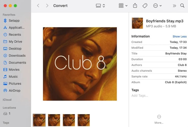 saved songs | Apple Music Downloaders Online