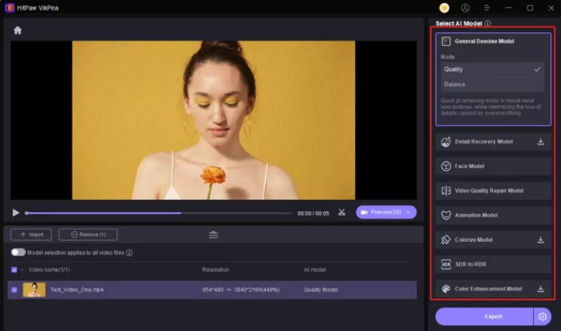 choose AI models | Video Enhancement Software