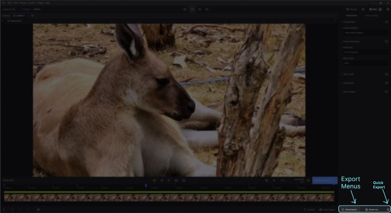 use Export Menu | Video Enhancement Software