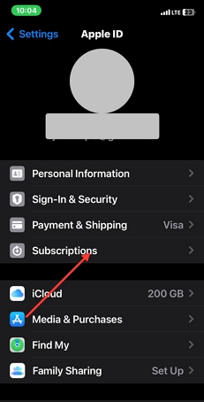 select Subscriptions | Can't Add Apple Music to Sonos with Correct Password