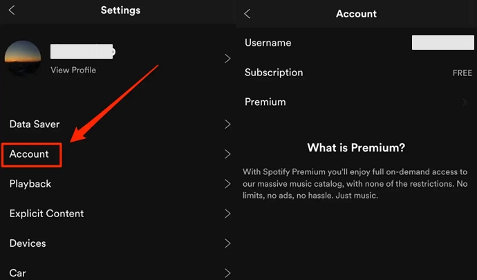 check premium account | Spotify Not Downloading Songs