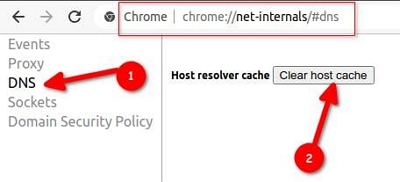 select dns | recover deleted samsung internet browser history