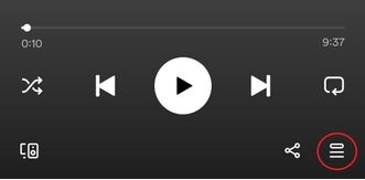 Queue icon | Clear Queue on Spotify