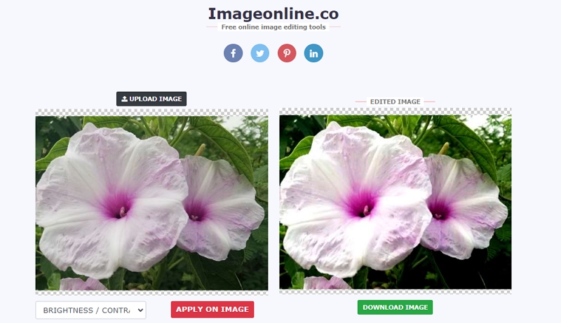 ImageOnline | signature editor to remove background