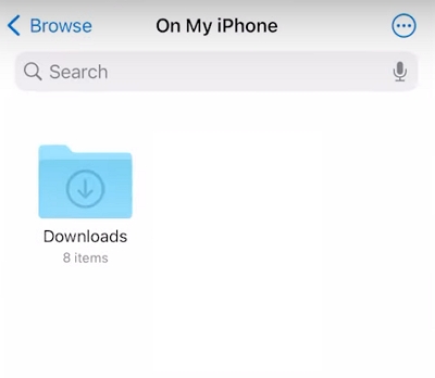 Downloads folder | Delete Large Attachments on iPhone