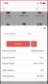select mp4 format in Iconv | WMV to MP4
