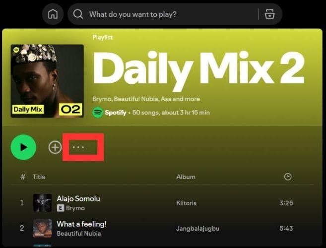 go to the Mix | Daily Mix on Spotify