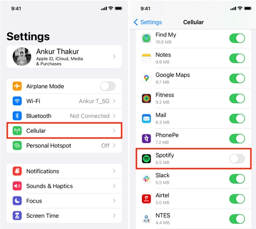 data enabled iPhone | Spotify Not Downloading Songs