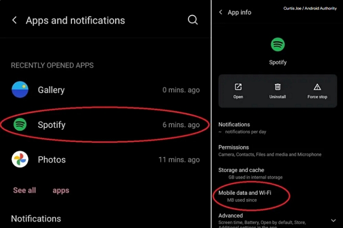 choose Mobile data and Wi-Fi | Spotify Not Downloading Songs