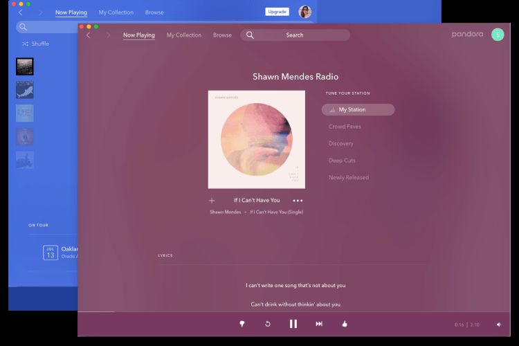 Stations on Pandora computer | Delete Stations on Pandora