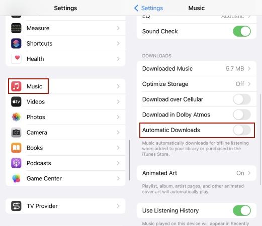 toggle on Automatic Downloads iPhone | Download All Apple Music at Once