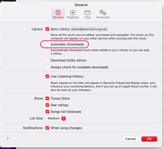 check Automatic Downloads Windows | Download All Apple Music at Once
