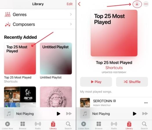 download Apple Music with shortcut | Download All Apple Music at Once