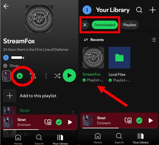 Your Library section | Transfer Music from Spotify to MP3 Players