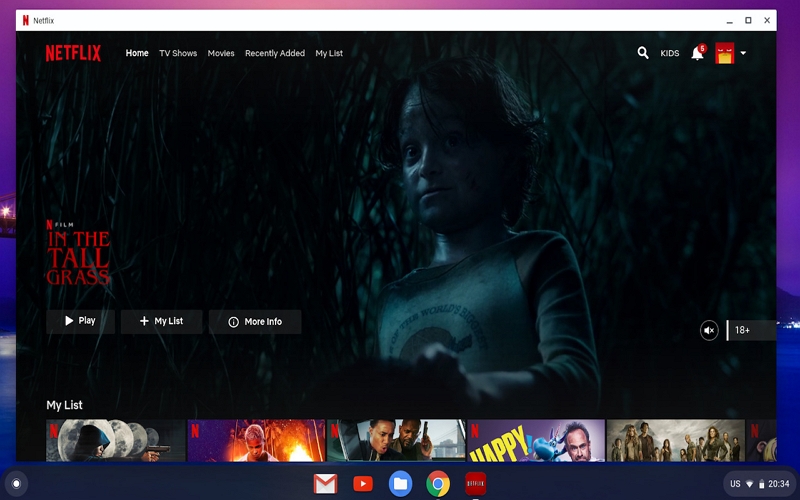 discover movies | how to download movies on Netflix on Chromebook