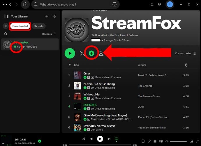 activate Downloaded tag | Download Spotify Playlists
