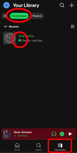 tap Downloads | Download Spotify Playlists