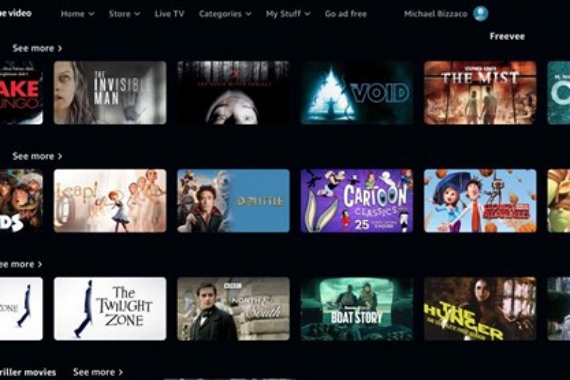 web browser | programs shown by amazon freevee