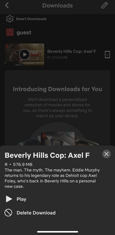 delete download | delete downloaded netflix movies