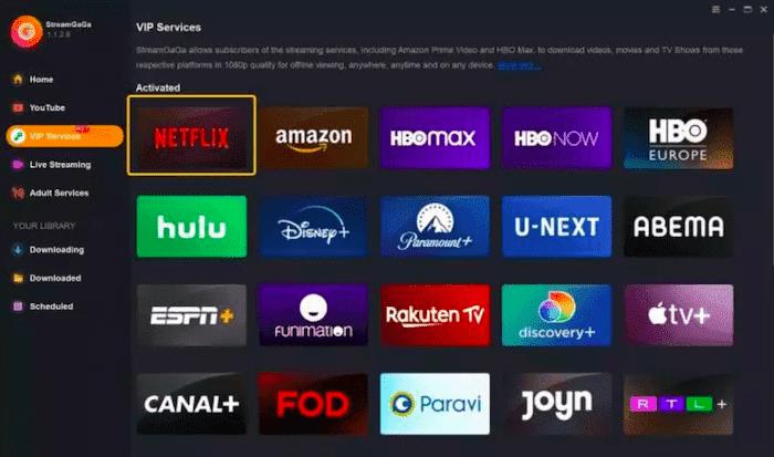 StreamGaGa Download software | streamgaga