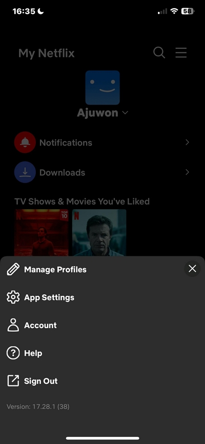 Hamburger | delete downloaded netflix movies