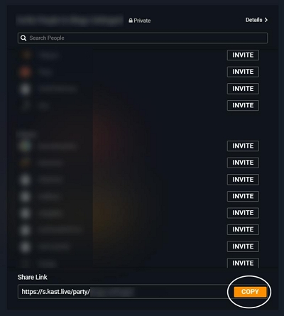 use Kast to stream Netflix 3 | how to stream netflix on discord