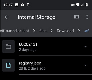 downloads | where are netflix downloads stored