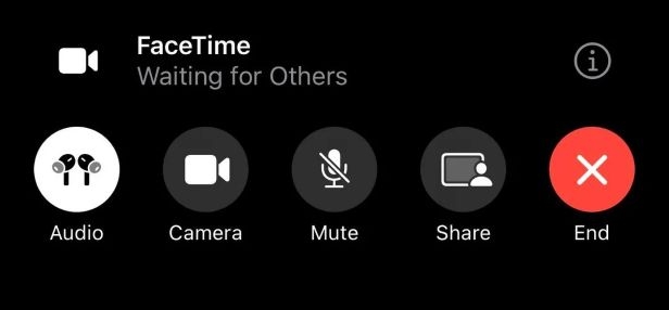 tap X | Watch Netflix on FaceTime