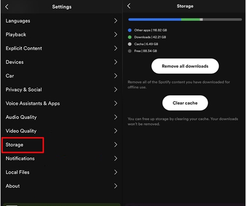 click Remove all downloads | Spotify Not Downloading Songs