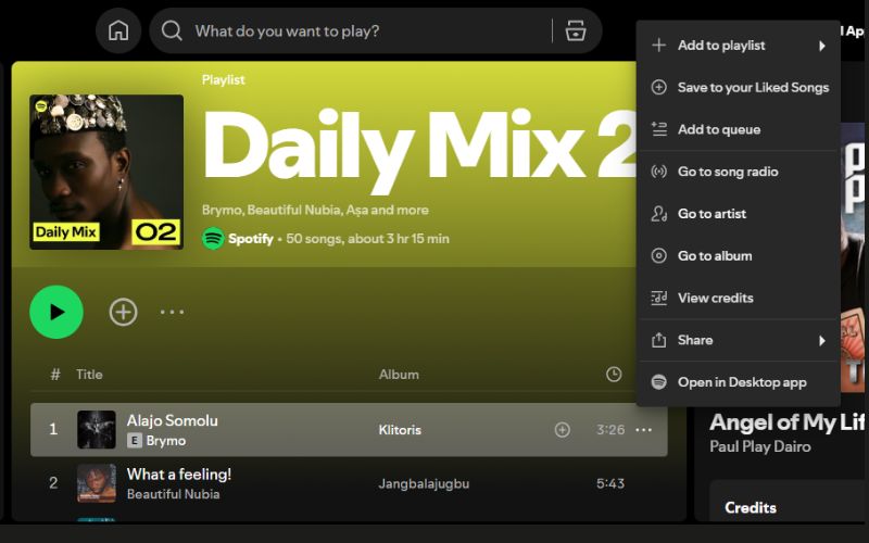 select Save to your Liked Songs | Daily Mix on Spotify