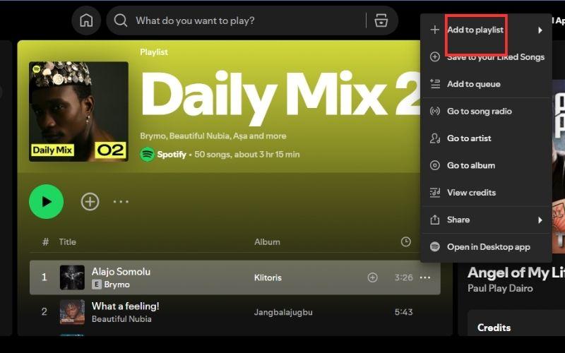 select a target playlist | Daily Mix on Spotify