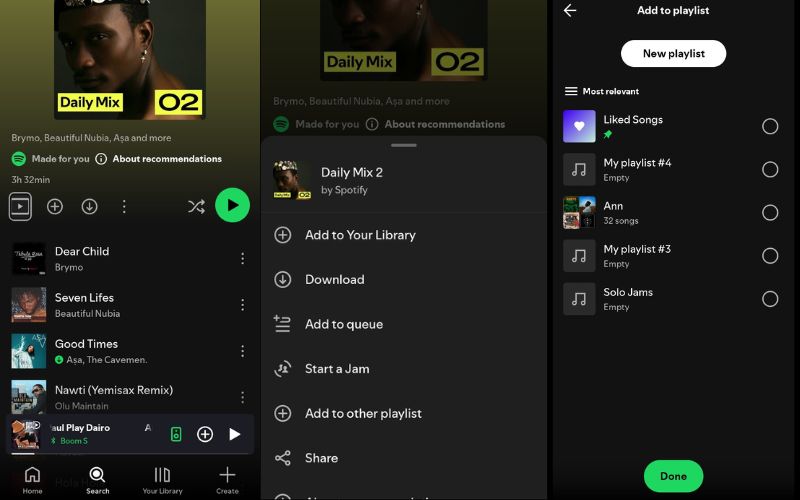 choose Add to other playlist | Daily Mix on Spotify