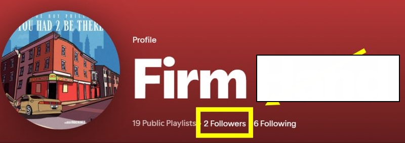 follower number | Can You See Who Liked Your Playlist on Spotify