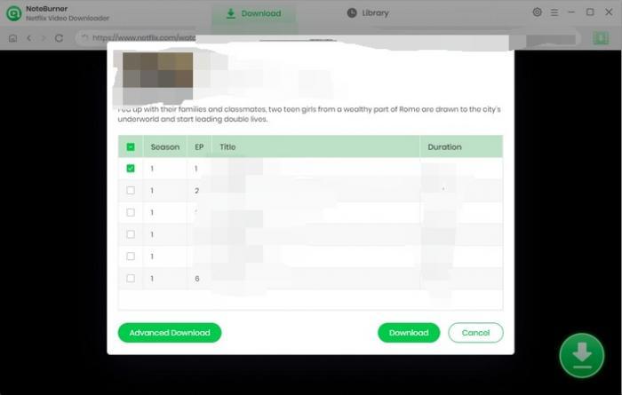 select the desired audio | noteburner netflix video downloader