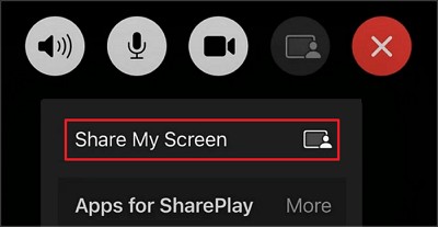 share my screen | watch netflix on facetime