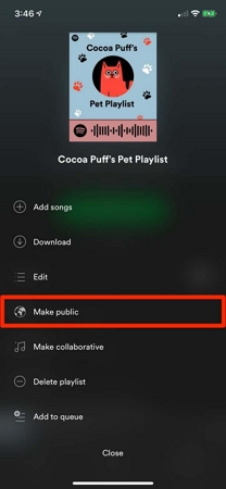 select Make Public | Copy Spotify Playlists