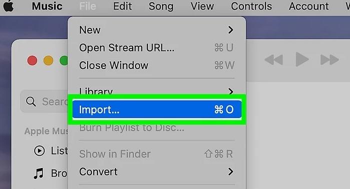 choose Import | Copy Spotify Playlists