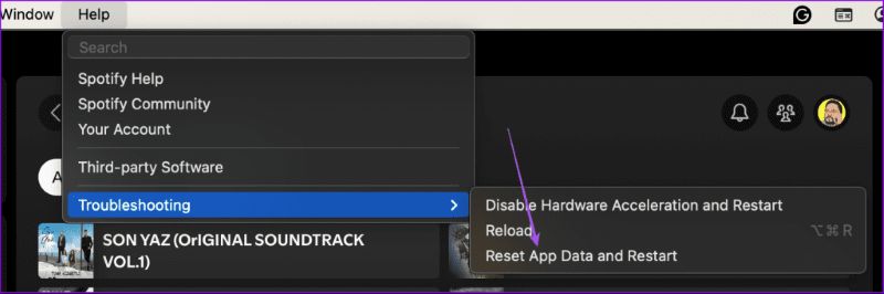 Help tab | Spotify Liked Songs Not Showing