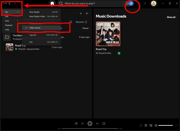 offline mode off | Spotify Liked Songs Not Showing