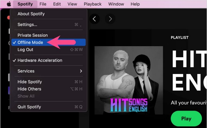enabled offline mode | Spotify Liked Songs Not Showing