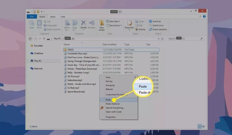 choose Paste | Transfer Music from Spotify to MP3 Players