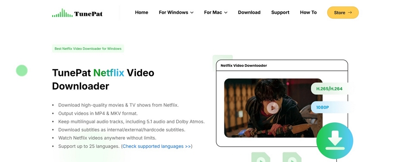 download formats | tunepat netflix not working