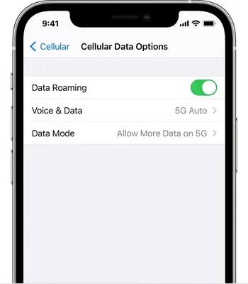 download Apple Music | Can't Add Apple Music to Sonos with Correct Password