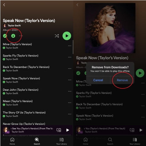 undownload spotify playlists | Spotify Not Downloading Songs
