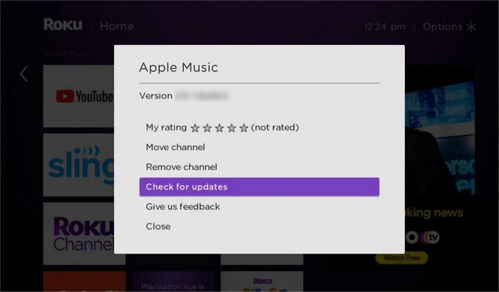 select Check for updates | Play Apple Music on Roku