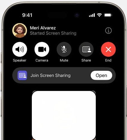 tap Open | Watch Netflix on FaceTime