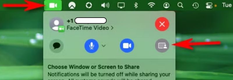 choose Screen Share | Watch Netflix on FaceTime