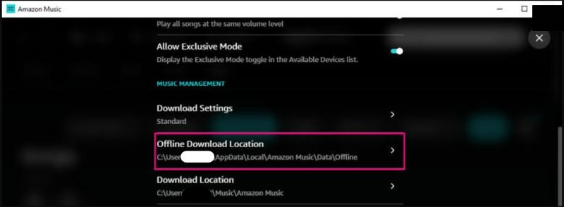 look for Offline Download Location | Where Does Amazon Music Download to